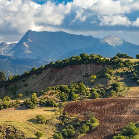 Tatil Evi The House Olympia - Happy