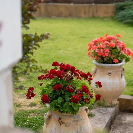 The House Olympia - Happy *