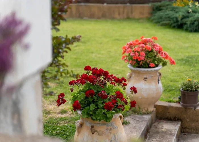 The House Olympia - Happy *